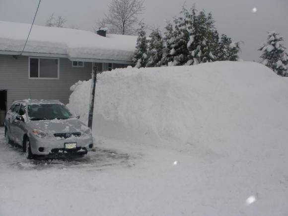 frontyard pile