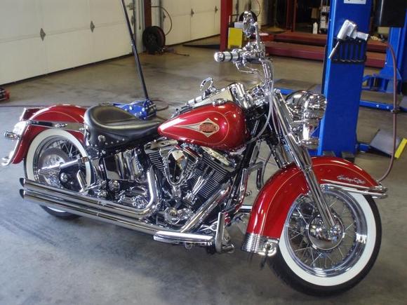 New bike