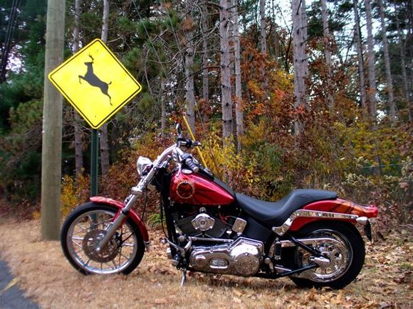 Gotta watch out for those little bastards!