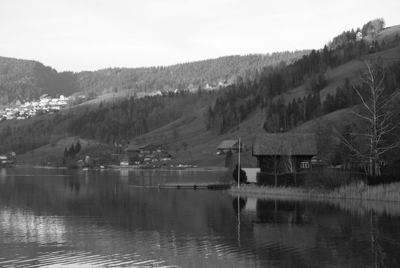 another part of my local lake, experimented with Black and white photo.