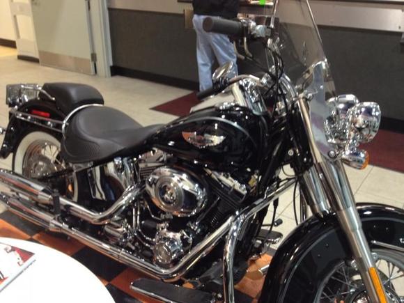 Here she is my 11 Deluxe with abs