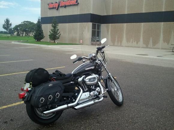 Apol's HD. Alexandria, MN