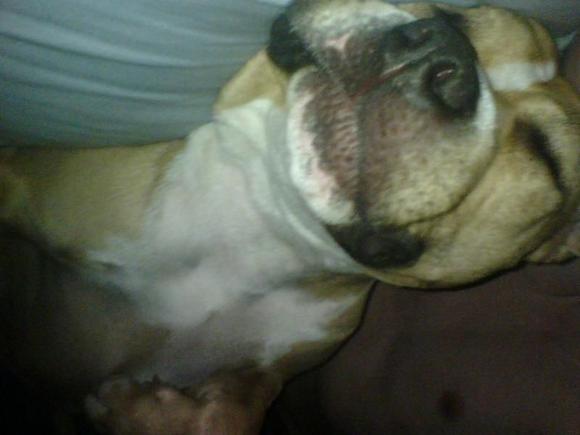 sleepy time