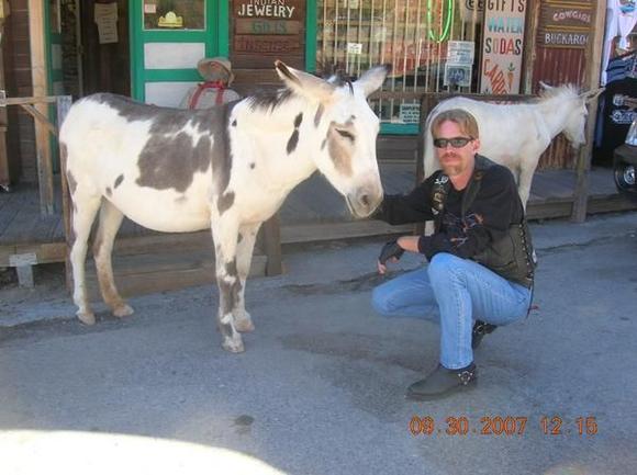 Oatman Az
