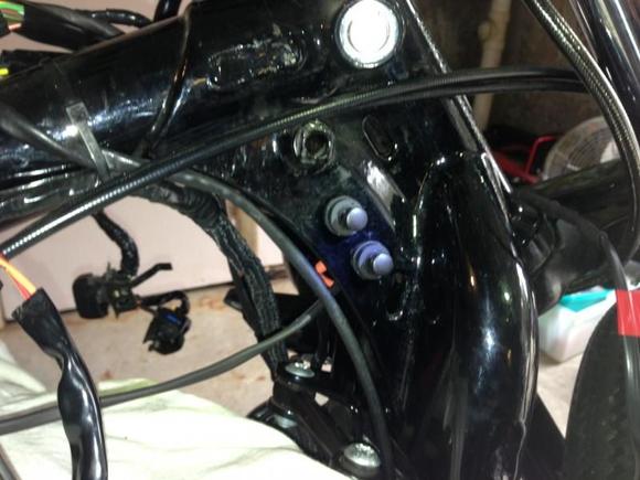 Start and horn switches.
