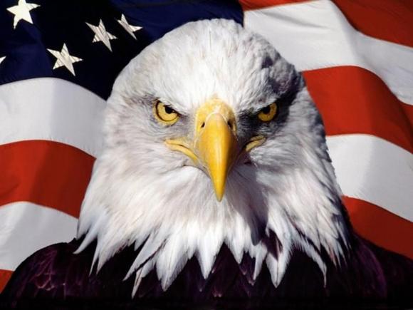Bald Eagle  Flag Wallpaper s8h7w