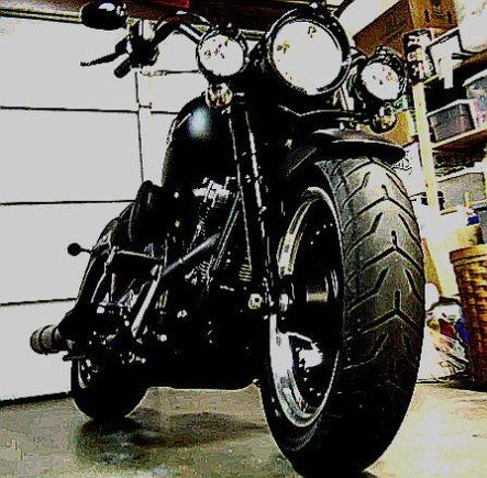2010 fatboy lo custom front blacked out with custom naselle and spots