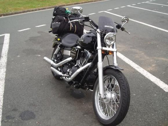 street bob pics 1 083