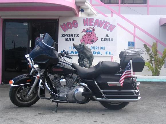 Hog Heaven- Daytona '08