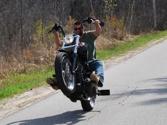 harley 3