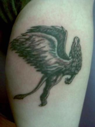 griffin tattoo