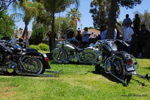 Vatos Y Viclas 07 12 09 1