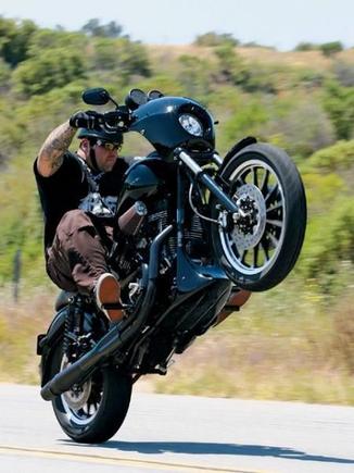 117inch 04 dyna FXDX