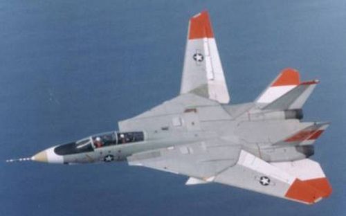 tomcat with messed up wings '85