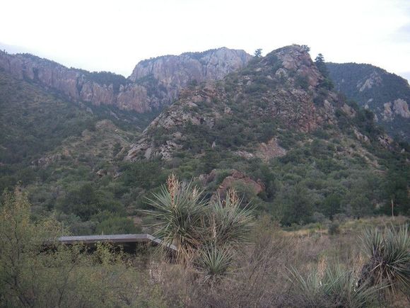 Chisos Basin campground III