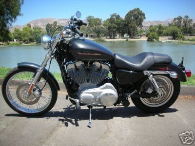 2007 XL883C Black Pearl, my first Harley.  That Black Pearl color is amazing in the sun if you've never seen it up close.