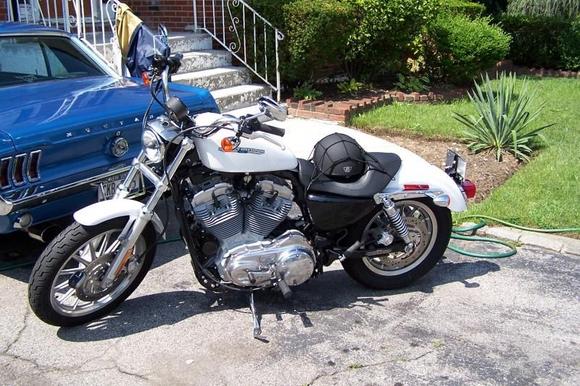 Harley