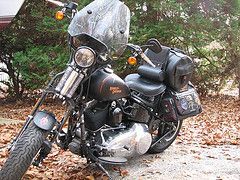 cheap windshield
