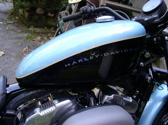 08 Nightster - Yea it's blue, so what?