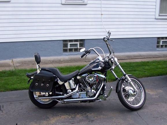 87 Softail 001