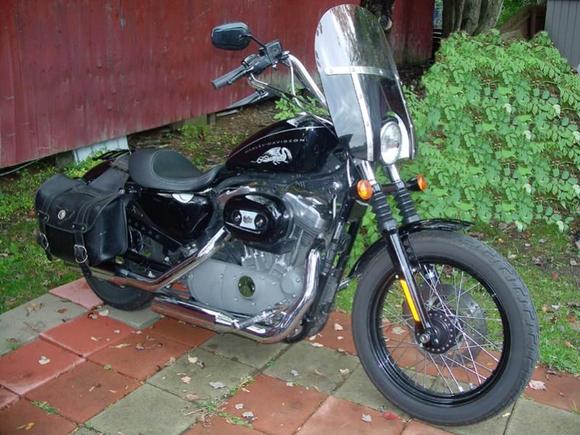 Saphira 09 30 08 red