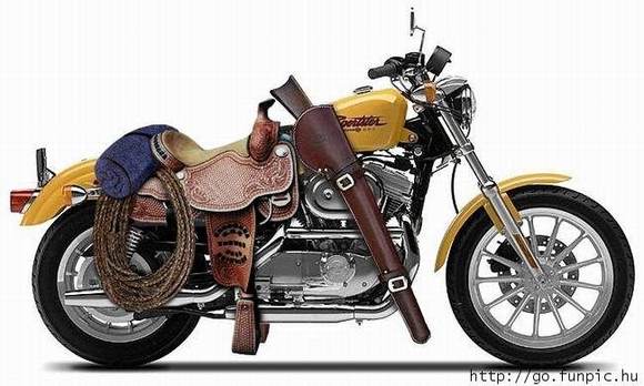 Harley Horse