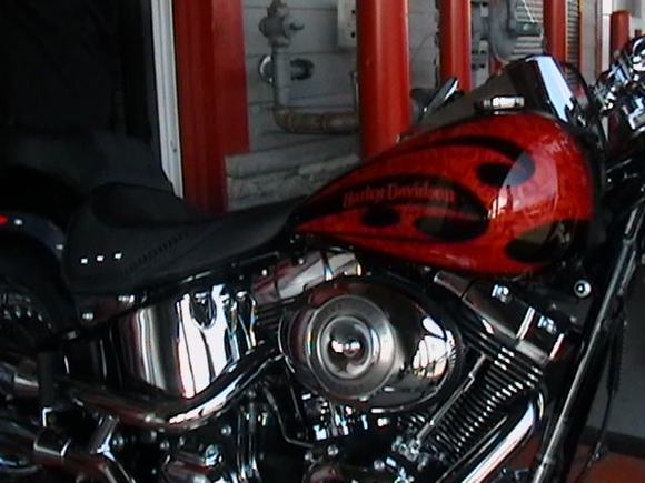 2010 FATBOY 018