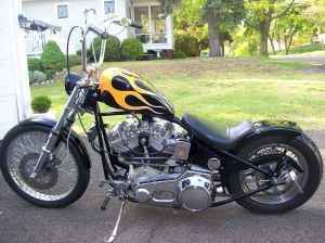 1975 Shovel