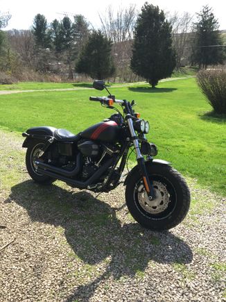 Beginning of last summer