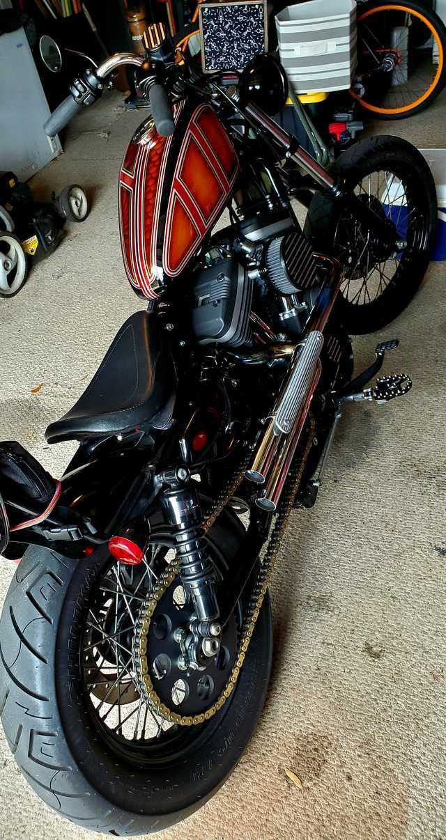 shotgun pipes sportster