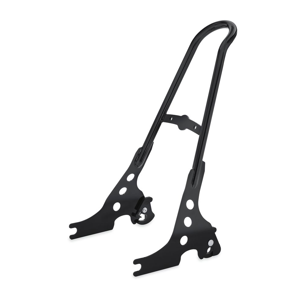 WTB Sportster Sissy Bar, Pillon, Mounting Hardware Harley Davidson