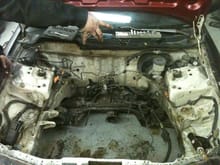 My new DC project. Dirty engine bay!
