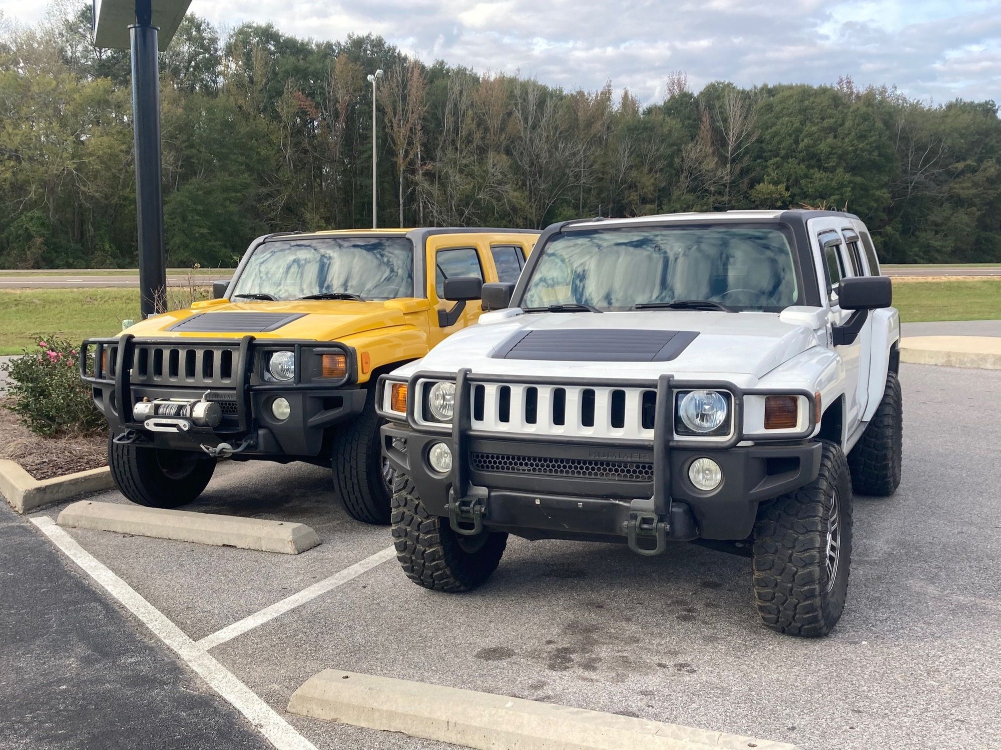 Mr. & Mrs.  07 Manual (left), 08 Alpha (right).  Bumblebee & Elsa respectively.  