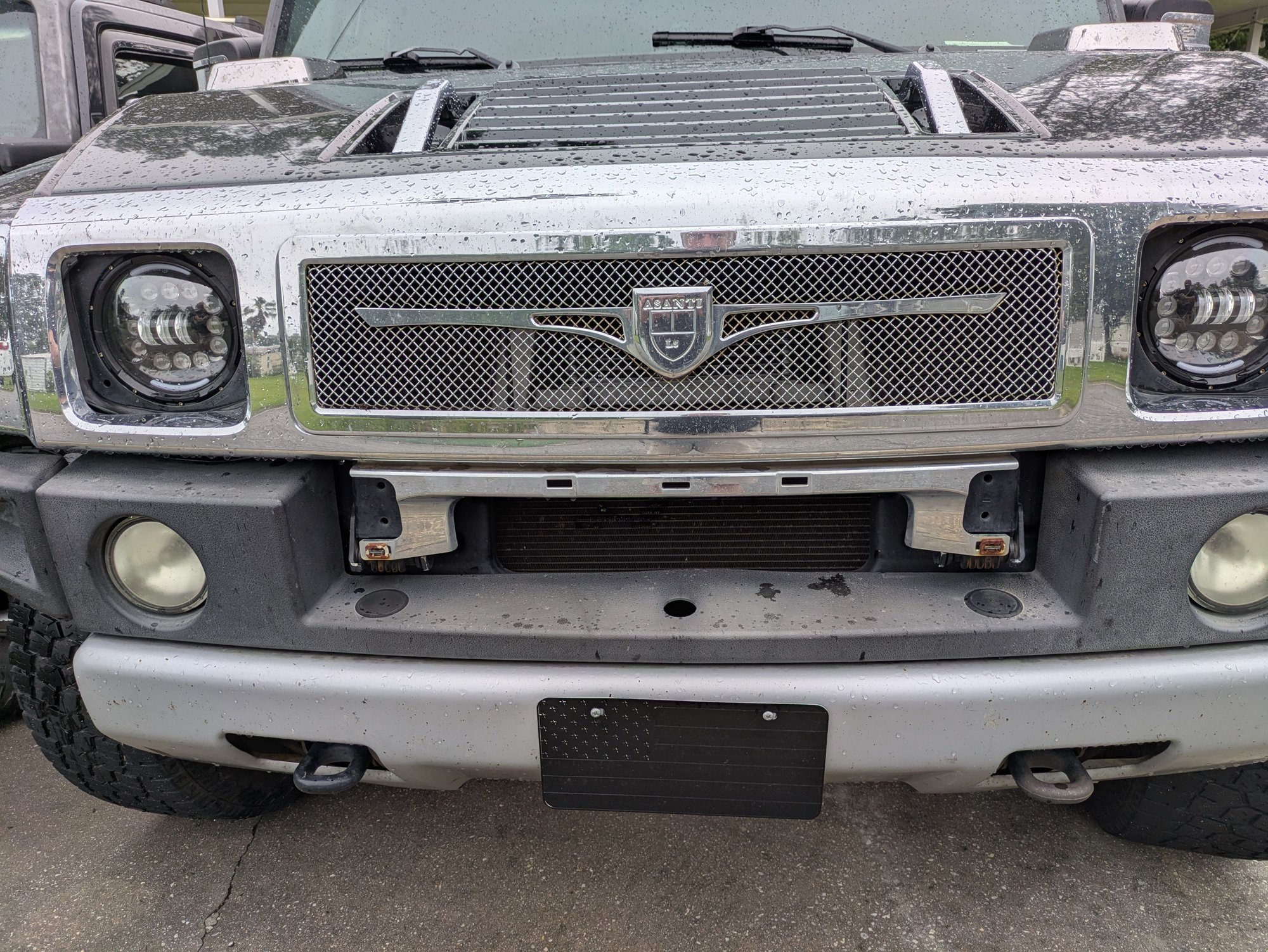 Front grill (looking for good used lower grill)