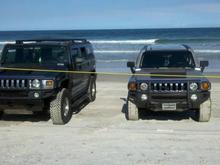 She found a buddy at the beach
