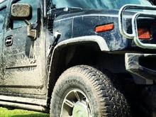 Swamp mud.