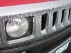 Icy Grille