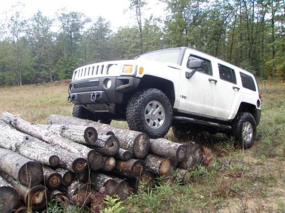 a couple of log to play on,