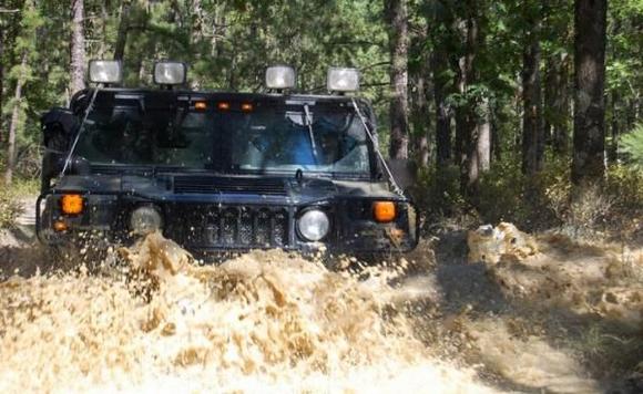 wharton state forest - pine barrens