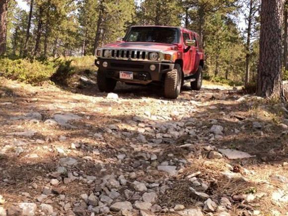 Trail