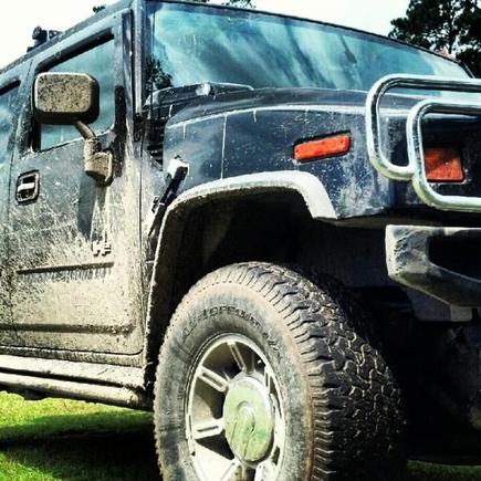 Swamp mud.