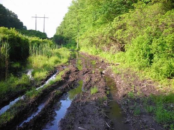 mud boggin any one?