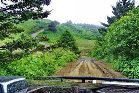 Road at the end of the island, Kodiak Alaska
