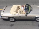 Cruising