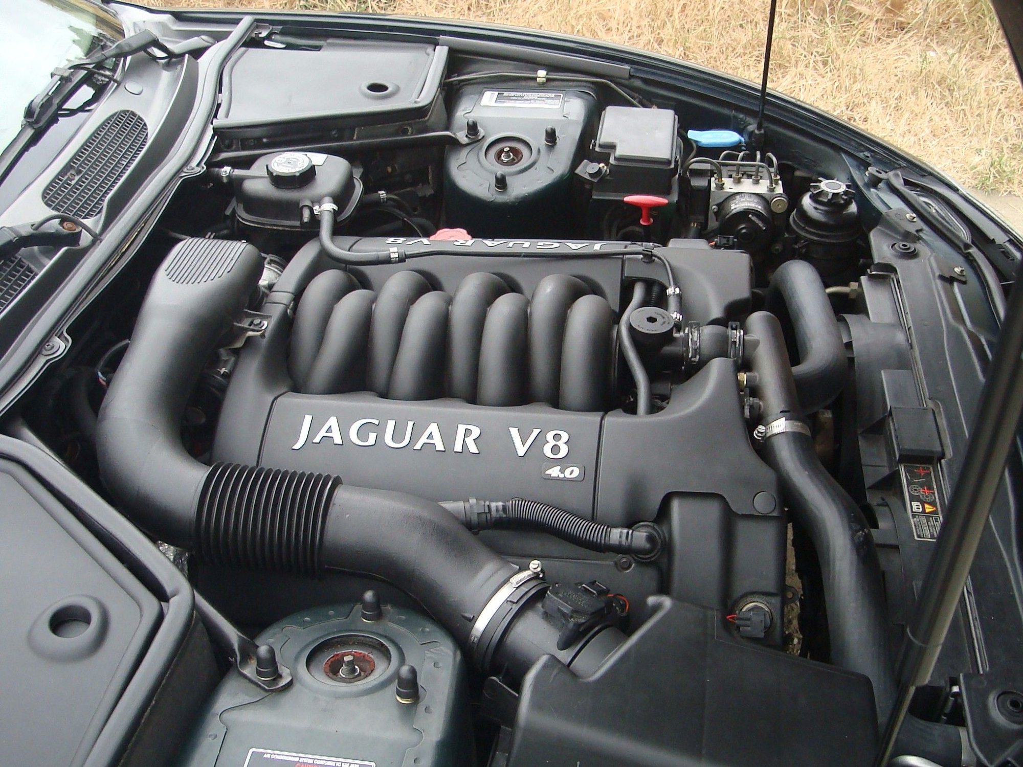 2001 Jaguar XK8 - XK8 Convertible, A Grand Touring Automobile For The Mountains of Colorado - Used - VIN SAJDA42C01NA14633 - 64,064 Miles - 8 cyl - 2WD - Automatic - Convertible - Other - Littleton, CO 80123, United States