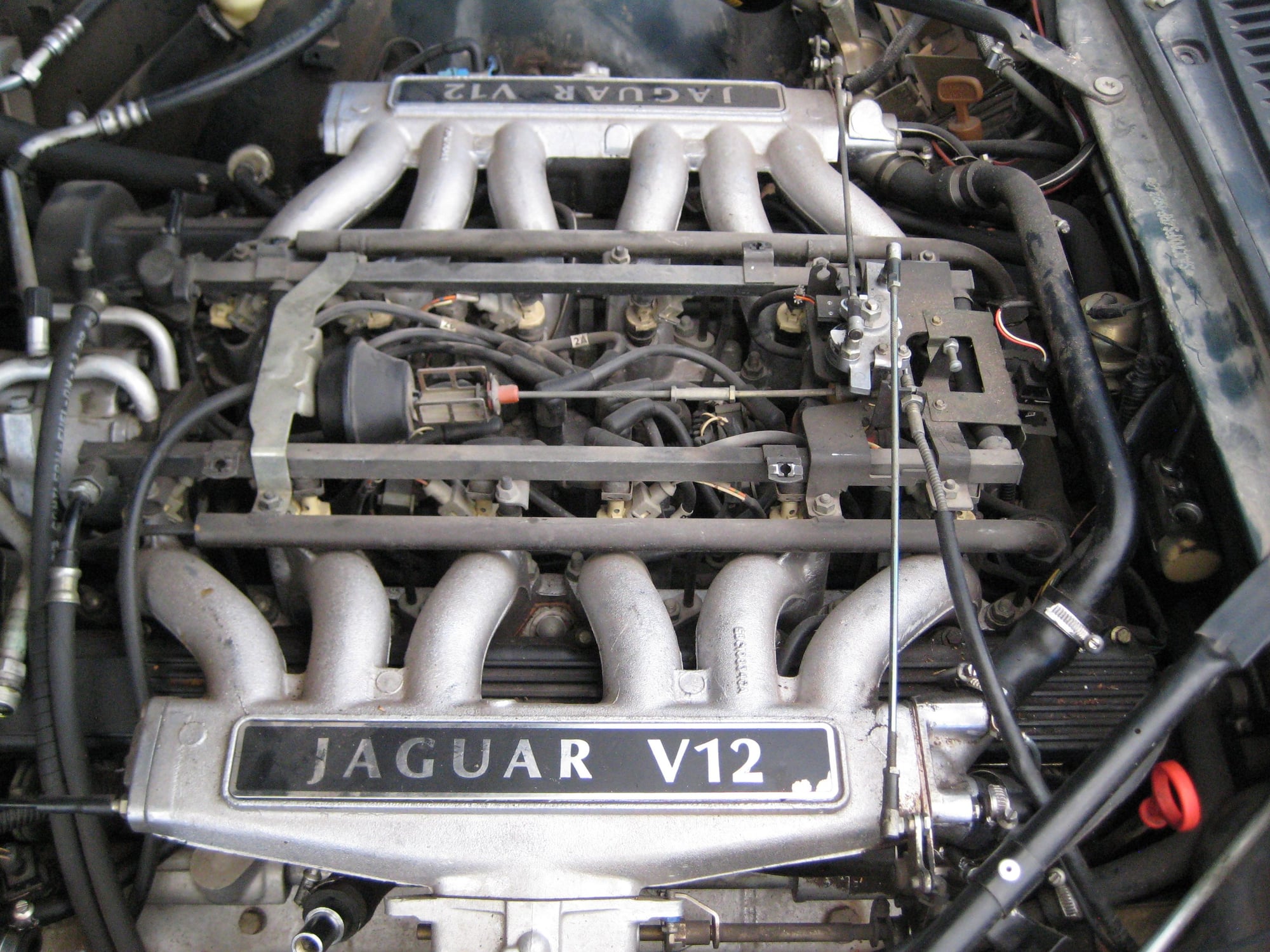 Engine - Intake/Fuel - Jaguar 6.0 V12  Engine Parts- Fuel rail/njectors, Intake Manifolds, Ign Sys, More - Used - 1993 to 1995 Jaguar XJS - San Francisco, CA 94116, United States