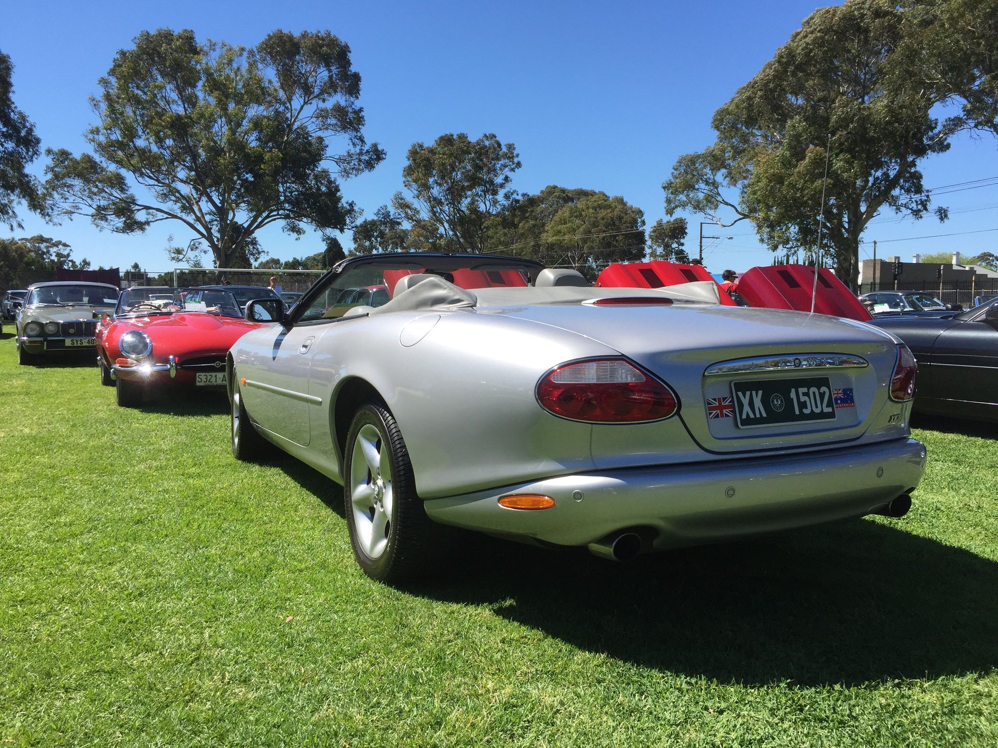 South Australian Jaguar Day 2017 - Jaguar Forums - Jaguar ...