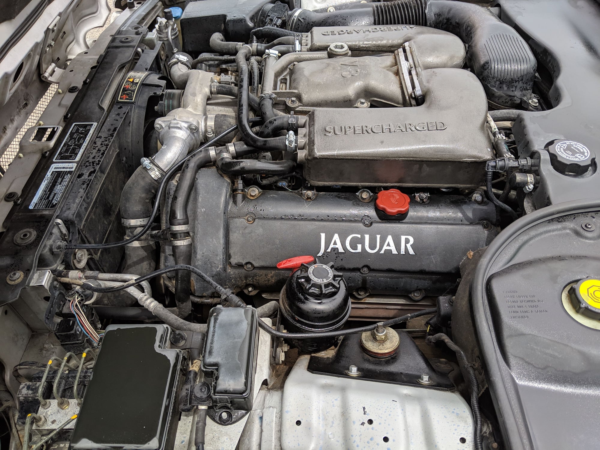 2000 Jaguar XJR - 2000 Jaguar XJR low miles for year - Used - VIN SAJDA15B8YMF20521 - 125,050 Miles - 8 cyl - 2WD - Automatic - Sedan - Silver - El Paso, TX 79938, United States