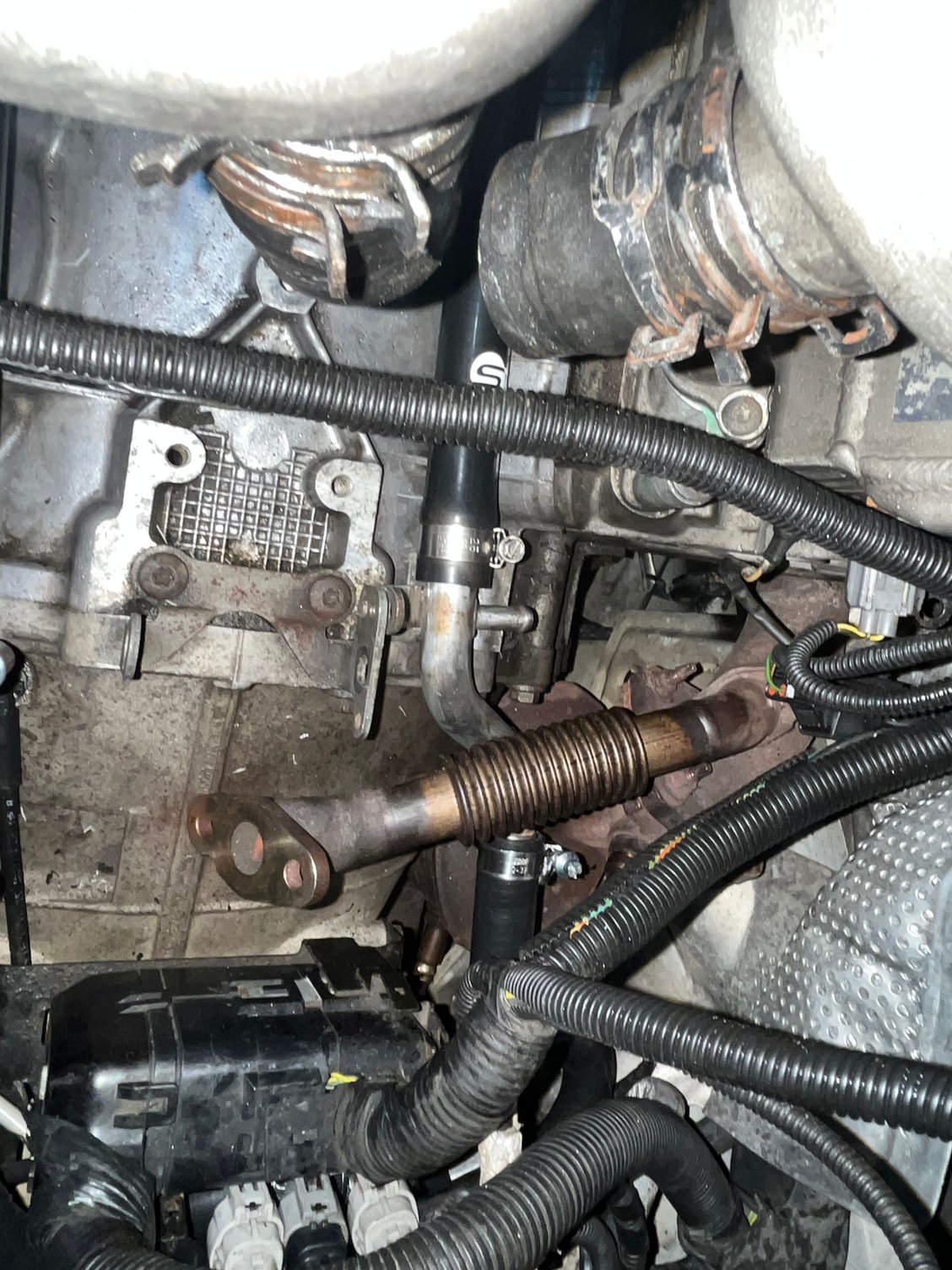 The right valley hose connects directly to the pipe with a clamp instead of via a Norma connector. Btw, those clamps came with the hoses and are not perforated. 