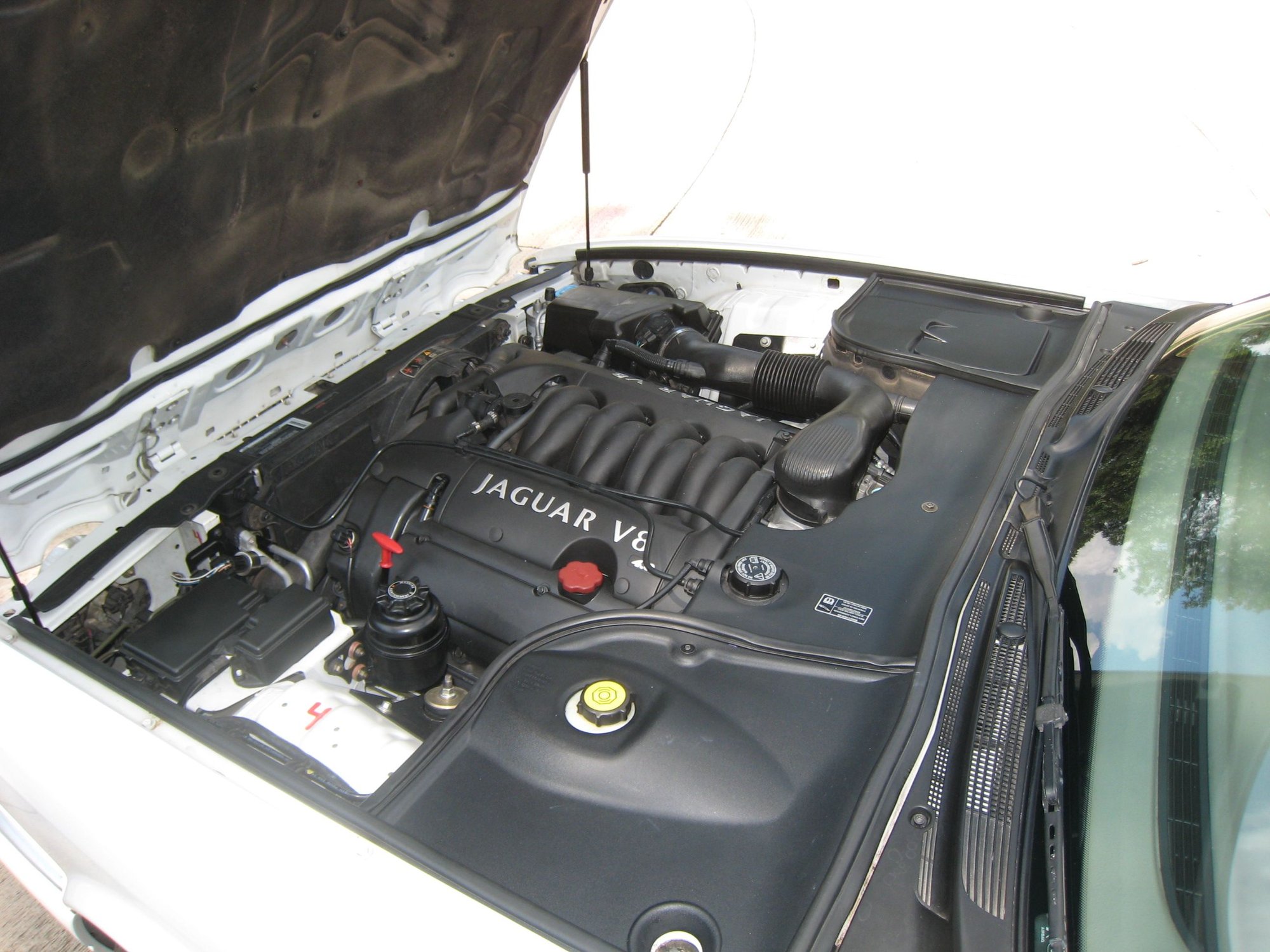 2000 Jaguar XJ8 - 2000 Jaguar XJ8 up for adoption - Used - VIN SAJDA14C5YLF08214 - 121,000 Miles - 8 cyl - 2WD - Automatic - Sedan - White - Fort Worth, TX 76112, United States